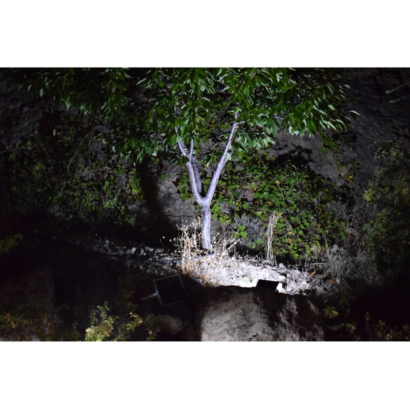 Lumelux 25W Solar Flood Light in Situ