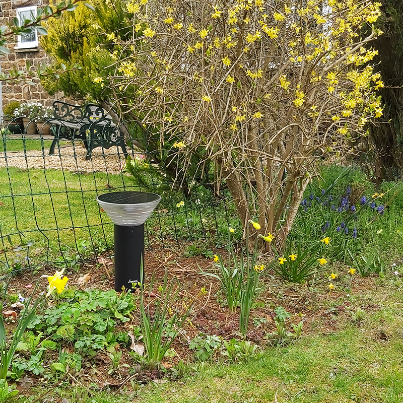 Pro Solar OLYMPIA - 380mm Solar Pedestal Light - Image 5