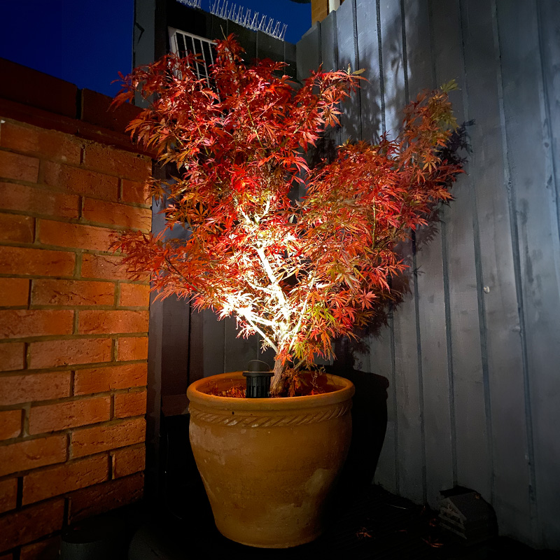 Solspike - 7W LED Solar Spotlights with Ground Spike (set of 3) - Image 3