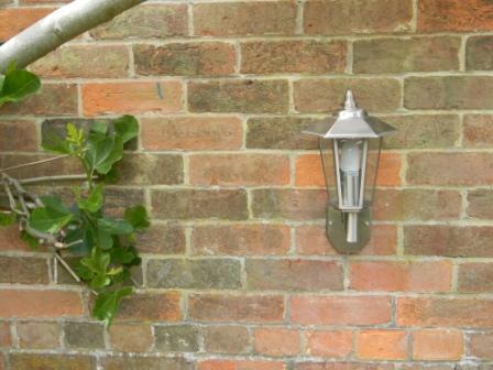 Stellus CONTESA WL PC - Stainless Steel Wall Light with Photocell (Dusk to Dawn) - Image 5