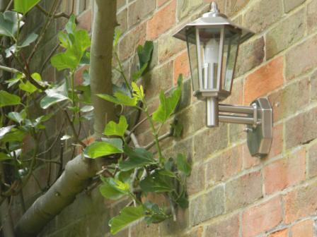 Stellus CONTESA WL PC - Stainless Steel Wall Light with Photocell (Dusk to Dawn) - Image 6